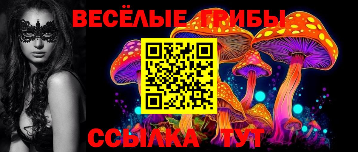 Псилоцибиновые грибы Psilocybine cubensis Красноармейск