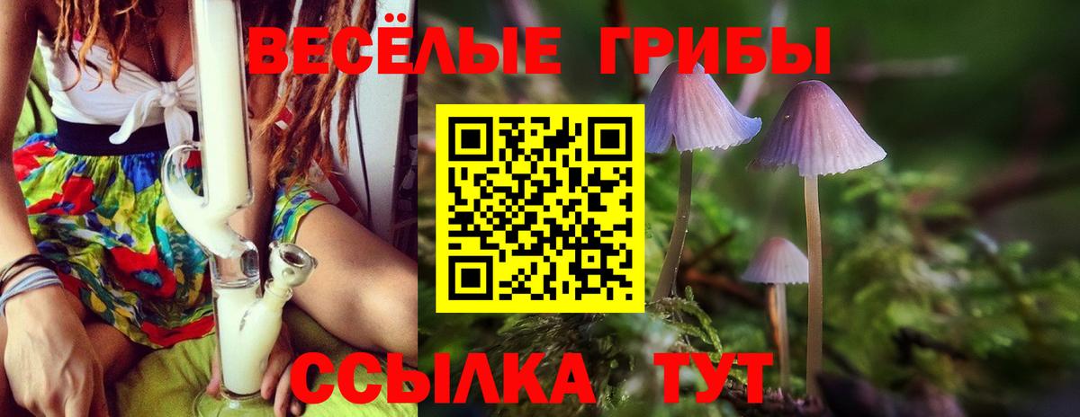 Красноармейск  Псилоцибиновые грибы MAGIC MUSHROOMS  Вход с VPN 